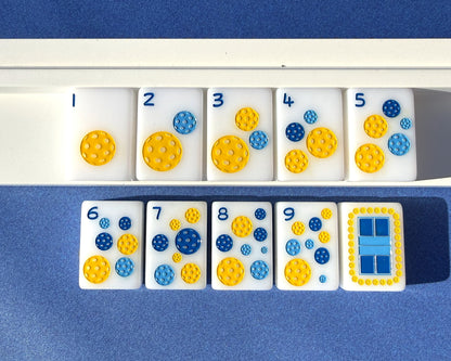 The Pickleball Set (Preorder)